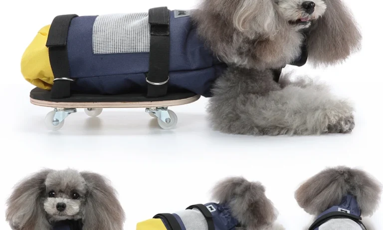 Dog Drag Bag – Indoor Wheelchair Alternative for Paralyzed Pets with Rear Leg Disability | Stroke Lyfe™ Pet Mobility Series