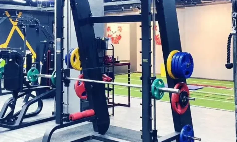 Smith Machine Squat Rack System – Consumer & Commercial Bench Press Gantry with Barbell Support for Stroke Recovery, Strength Rehab & Home Gym Fitness | Stroke Lyfe™ Wellness Tech