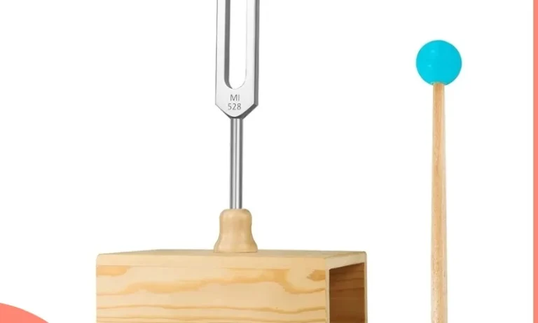 528Hz Chakra Tuning Fork with Resonance Box – Sound Therapy Tool for Stroke Recovery, Meditation & Cellular Healing | Stroke Lyfe™ NeuroVibe Tech