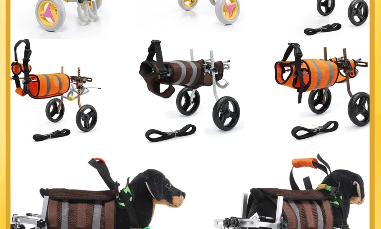 Adjustable Dog Wheelchair Pet Rehabilitation Walking Aid Vehicle Pet Wheelchair Walk Cart Scooter Weak Paralyzed Dog Training