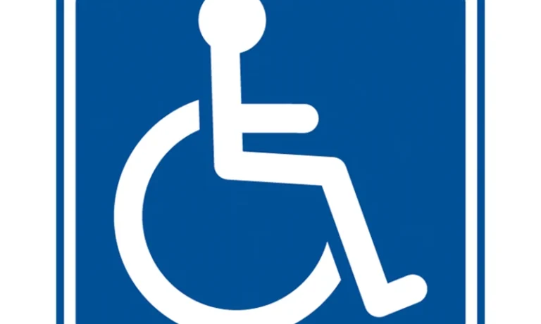 S41166 Funny Handicapped Car Decal – Waterproof Vinyl Sticker for Stroke Recovery, Disability Awareness & Vehicle Accessibility | Stroke Lyfe™ Mobility Series