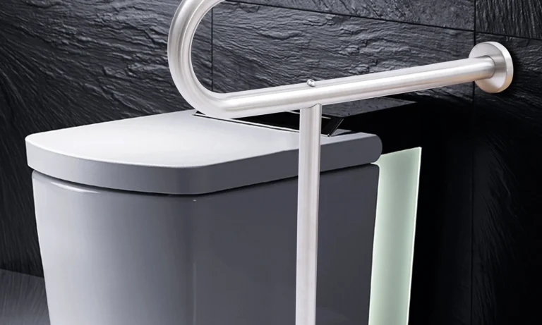Stainless Steel Handicap Rails, Grab Bars, Bathroom and Toilet Support for Elderly and Disabled, Hand Shower, Safety Handrail